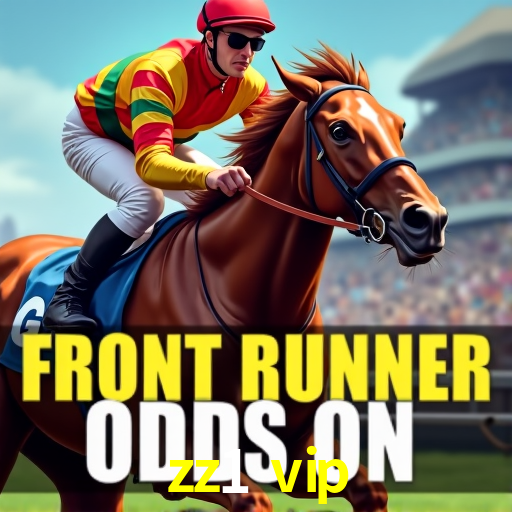 Experiência VIP zz1 vip